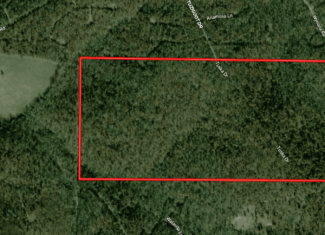 Prime Arkansas Ozarks Hunting Land